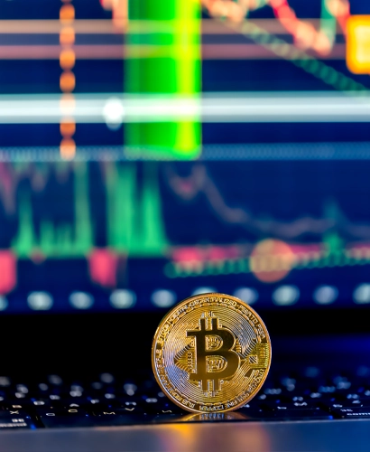 Rikdom Bitrad Informazioni sul Trading